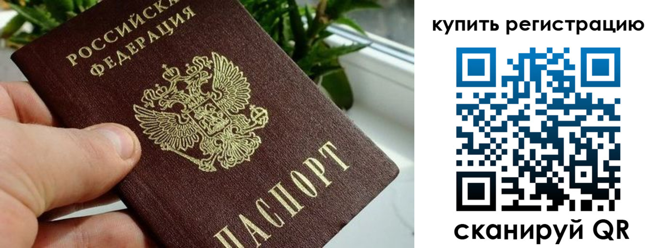 прописка гарантия в Вышнем Волочке